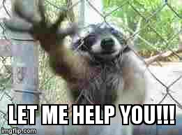  LET ME HELP YOU!!! | image tagged in let me help you | made w/ Imgflip meme maker
