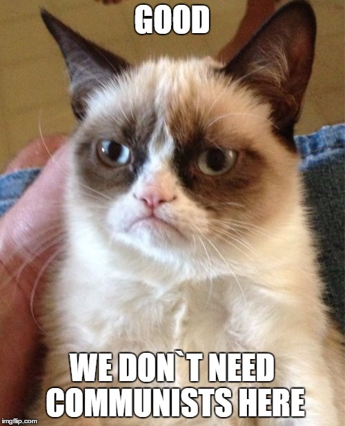 Grumpy Cat Meme | GOOD WE DON`T NEED COMMUNISTS HERE | image tagged in memes,grumpy cat | made w/ Imgflip meme maker