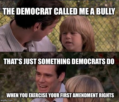 That's Just Something X Say | THE DEMOCRAT CALLED ME A BULLY; THAT'S JUST SOMETHING DEMOCRATS DO; WHEN YOU EXERCISE YOUR FIRST AMENDMENT RIGHTS | image tagged in memes,thats just something x say | made w/ Imgflip meme maker