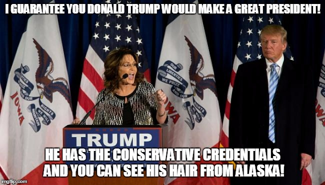 and his ideas produce about as much heat as the midnight sun as well | I GUARANTEE YOU DONALD TRUMP WOULD MAKE A GREAT PRESIDENT! HE HAS THE CONSERVATIVE CREDENTIALS AND YOU CAN SEE HIS HAIR FROM ALASKA! | image tagged in sarah palin,donald trump,election 2016,politics | made w/ Imgflip meme maker