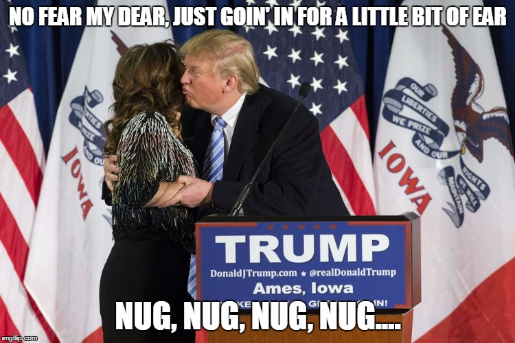 not going to suck out much life force there, dude | NO FEAR MY DEAR, JUST GOIN' IN FOR A LITTLE BIT OF EAR; NUG, NUG, NUG, NUG.... | image tagged in sarah palin,donald trump,election 2016,politics | made w/ Imgflip meme maker