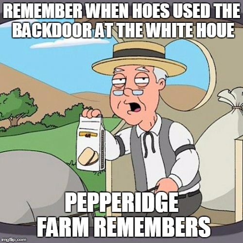 Pepperidge Farm Remembers | REMEMBER WHEN HOES USED THE BACKDOOR AT THE WHITE HOUE; PEPPERIDGE FARM REMEMBERS | image tagged in memes,pepperidge farm remembers | made w/ Imgflip meme maker