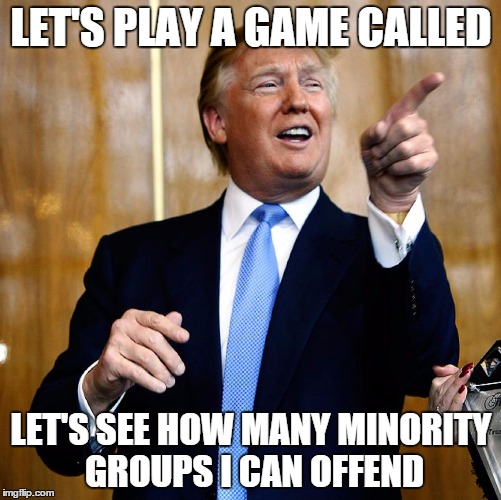 Donald Trump | LET'S PLAY A GAME CALLED; LET'S SEE HOW MANY MINORITY GROUPS I CAN OFFEND | image tagged in donald trump | made w/ Imgflip meme maker