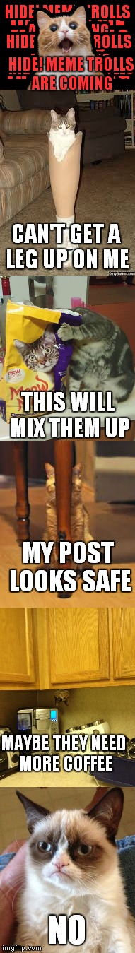 Trolling for cat's | HIDE! MEME TROLLS ARE COMING; CAN'T GET A LEG UP ON ME; THIS WILL MIX THEM UP; MY POST LOOKS SAFE; MAYBE THEY NEED MORE COFFEE; NO | image tagged in funny cats,grumpy cat | made w/ Imgflip meme maker