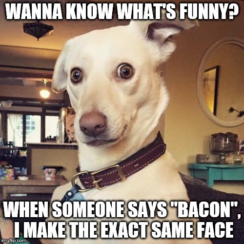 Woof! | WANNA KNOW WHAT'S FUNNY? WHEN SOMEONE SAYS "BACON", I MAKE THE EXACT SAME FACE | image tagged in i love bacon | made w/ Imgflip meme maker
