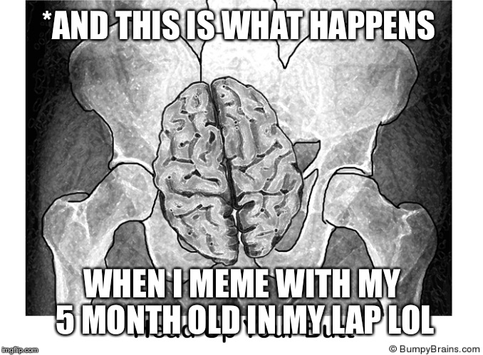 Hillarys Brain  | *AND THIS IS WHAT HAPPENS WHEN I MEME WITH MY 5 MONTH OLD IN MY LAP LOL | image tagged in hillarys brain | made w/ Imgflip meme maker