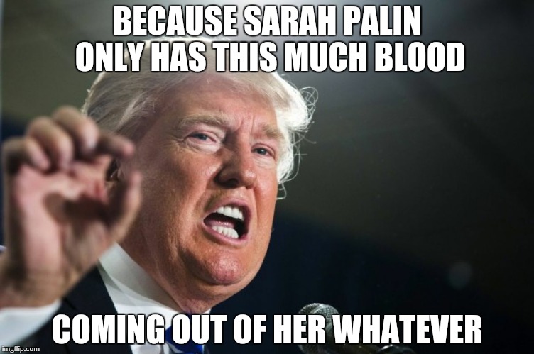 donald trump | BECAUSE SARAH PALIN ONLY HAS THIS MUCH BLOOD; COMING OUT OF HER WHATEVER | image tagged in donald trump | made w/ Imgflip meme maker