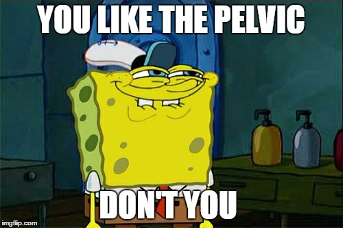 Don't You Squidward Meme | YOU LIKE THE PELVIC DON'T YOU | image tagged in memes,dont you squidward | made w/ Imgflip meme maker