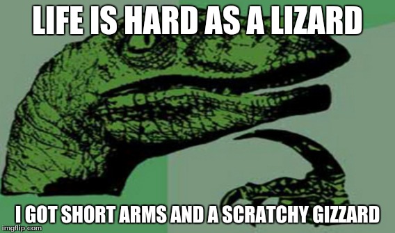LIFE IS HARD AS A LIZARD; I GOT SHORT ARMS AND A SCRATCHY GIZZARD | image tagged in lizard | made w/ Imgflip meme maker