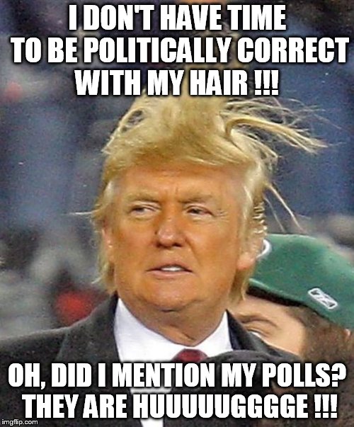 Donald Trumph hair | I DON'T HAVE TIME TO BE POLITICALLY CORRECT WITH MY HAIR !!! OH, DID I MENTION MY POLLS? THEY ARE HUUUUUGGGGE !!! | image tagged in donald trumph hair | made w/ Imgflip meme maker
