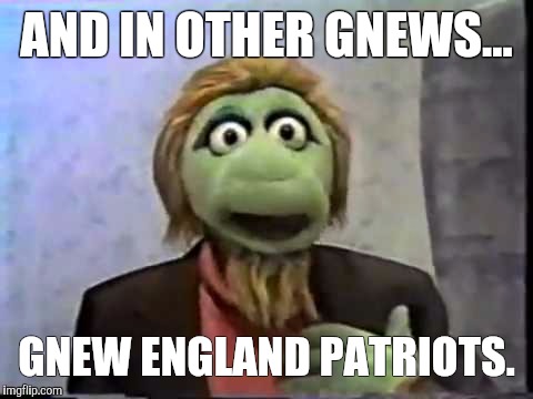 Gary Gnu | AND IN OTHER GNEWS... GNEW ENGLAND PATRIOTS. | image tagged in gary gnu | made w/ Imgflip meme maker