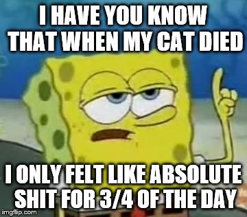 My cat of 16 years died this morning. :( | I HAVE YOU KNOW THAT WHEN MY CAT DIED; I ONLY FELT LIKE ABSOLUTE SHIT FOR 3/4 OF THE DAY | image tagged in memes,ill have you know spongebob | made w/ Imgflip meme maker