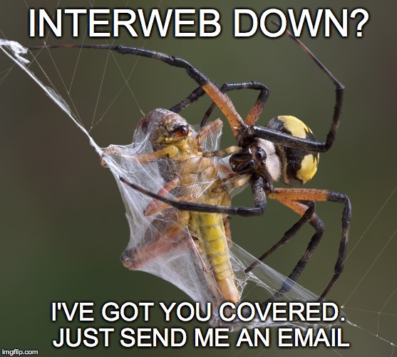 Yes, I am a Cox Spider.  | INTERWEB DOWN? I'VE GOT YOU COVERED. JUST SEND ME AN EMAIL | image tagged in interweb,email,covered | made w/ Imgflip meme maker