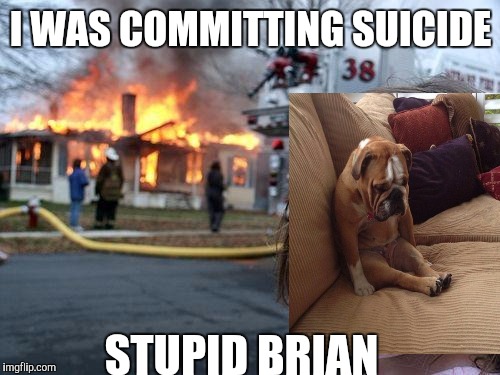 Disaster Girl Meme | I WAS COMMITTING SUICIDE STUPID BRIAN | image tagged in memes,disaster girl | made w/ Imgflip meme maker
