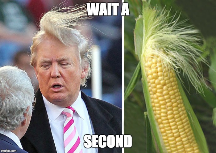 Donald Trump | WAIT A; SECOND | image tagged in donald trump | made w/ Imgflip meme maker