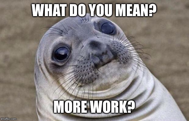 Awkward Moment Sealion | WHAT DO YOU MEAN? MORE WORK? | image tagged in memes,awkward moment sealion | made w/ Imgflip meme maker