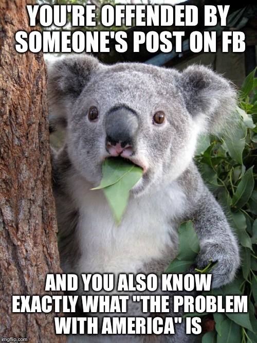 Surprised Koala | YOU'RE OFFENDED BY SOMEONE'S POST ON FB; AND YOU ALSO KNOW EXACTLY WHAT "THE PROBLEM WITH AMERICA" IS | image tagged in memes,surprised koala | made w/ Imgflip meme maker