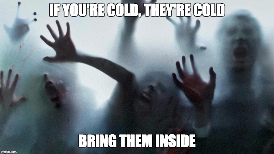 Cold Zombies | IF YOU'RE COLD, THEY'RE COLD; BRING THEM INSIDE | image tagged in cold zombies | made w/ Imgflip meme maker