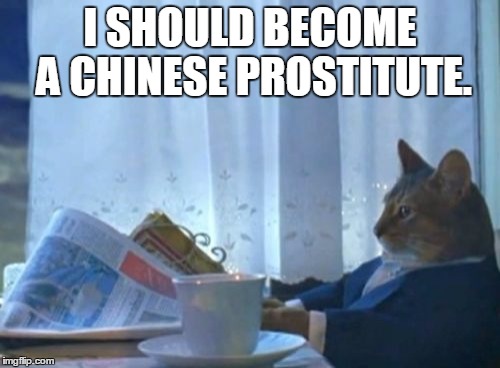 I Should Buy A Boat Cat | I SHOULD BECOME A CHINESE PROSTITUTE. | image tagged in memes,i should buy a boat cat | made w/ Imgflip meme maker