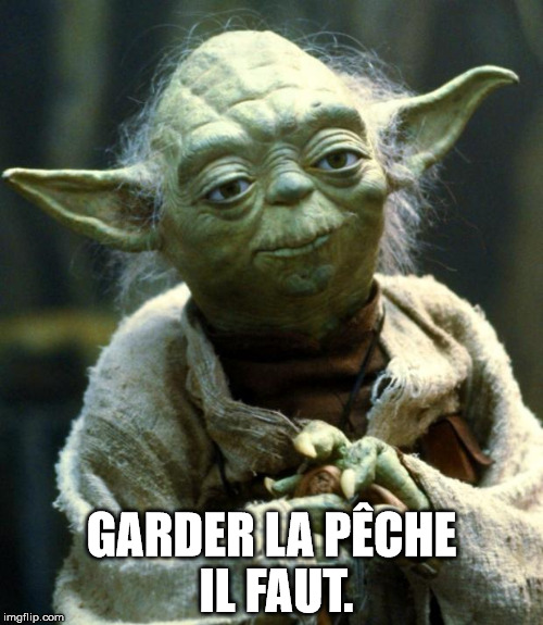 Star Wars Yoda Meme | GARDER LA PÊCHE IL FAUT. | image tagged in memes,star wars yoda | made w/ Imgflip meme maker