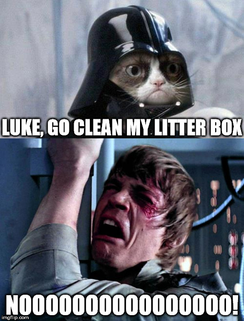 grumpy cat  star wars no | LUKE, GO CLEAN MY LITTER BOX; NOOOOOOOOOOOOOOOO! | image tagged in grumpy cat,darth vader | made w/ Imgflip meme maker