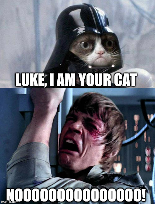 grumpy cat star wars no | LUKE, I AM YOUR CAT; NOOOOOOOOOOOOOOO! | image tagged in grumpy cat,darth vader | made w/ Imgflip meme maker