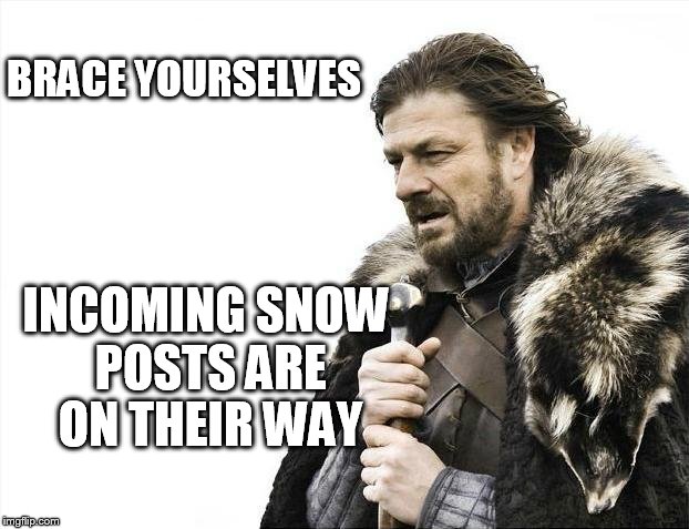 Brace Yourselves X is Coming Meme | BRACE YOURSELVES; INCOMING SNOW POSTS ARE ON THEIR WAY | image tagged in memes,brace yourselves x is coming | made w/ Imgflip meme maker