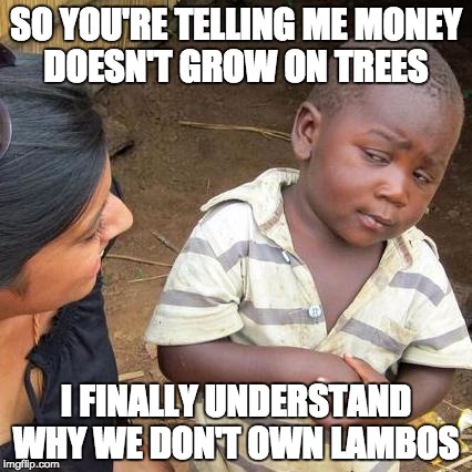 Third World Skeptical Kid Meme | SO YOU'RE TELLING ME MONEY DOESN'T GROW ON TREES; I FINALLY UNDERSTAND WHY WE DON'T OWN LAMBOS | image tagged in memes,third world skeptical kid | made w/ Imgflip meme maker