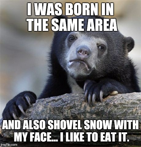 Confession Bear Meme | I WAS BORN IN THE SAME AREA AND ALSO SHOVEL SNOW WITH MY FACE... I LIKE TO EAT IT. | image tagged in memes,confession bear | made w/ Imgflip meme maker