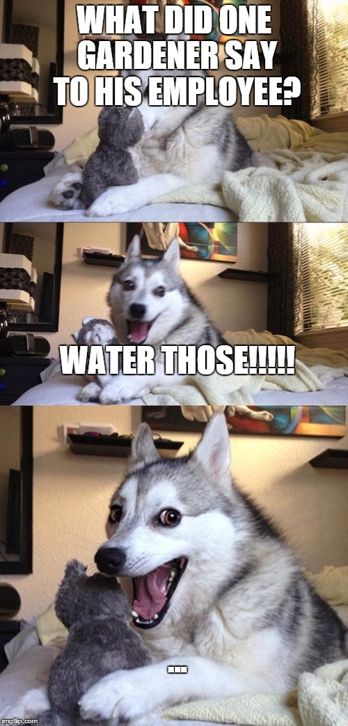 Bad Joke Dog | WHAT DID ONE GARDENER SAY TO HIS EMPLOYEE? WATER THOSE!!!!! ... | image tagged in bad joke dog | made w/ Imgflip meme maker