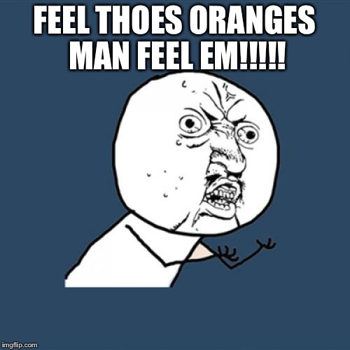 Y U No | FEEL THOES ORANGES MAN FEEL EM!!!!! | image tagged in memes,y u no | made w/ Imgflip meme maker