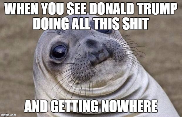 Awkward Moment Sealion Meme | WHEN YOU SEE DONALD TRUMP DOING ALL THIS SHIT; AND GETTING NOWHERE | image tagged in memes,awkward moment sealion | made w/ Imgflip meme maker