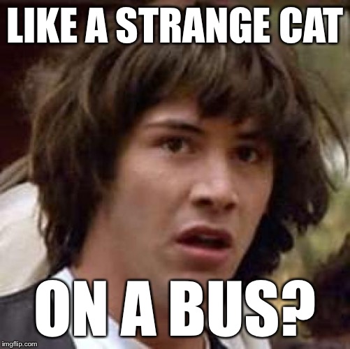 Conspiracy Keanu Meme | LIKE A STRANGE CAT ON A BUS? | image tagged in memes,conspiracy keanu | made w/ Imgflip meme maker