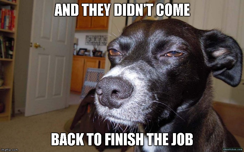AND THEY DIDN'T COME BACK TO FINISH THE JOB | made w/ Imgflip meme maker