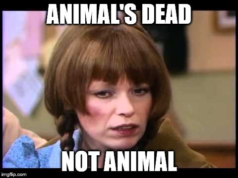 Mary Hartman   |  ANIMAL'S DEAD; NOT ANIMAL | image tagged in mary hartman,memes,muppets,drummer,animal | made w/ Imgflip meme maker