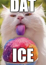 snowcone cat | DAT; ICE | image tagged in snowcone cat | made w/ Imgflip meme maker