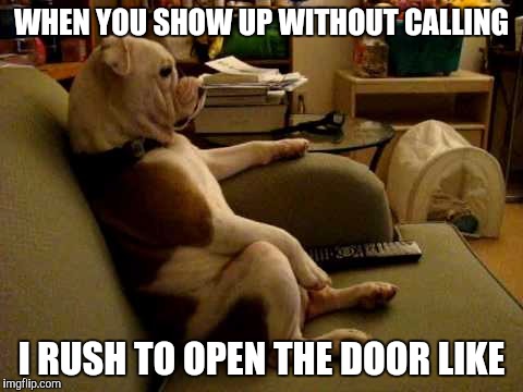 WHEN YOU SHOW UP WITHOUT CALLING; I RUSH TO OPEN THE DOOR LIKE | image tagged in memes | made w/ Imgflip meme maker