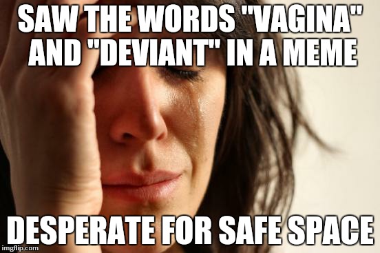 First World Problems Meme | SAW THE WORDS "VA**NA" AND "DEVIANT" IN A MEME DESPERATE FOR SAFE SPACE | image tagged in memes,first world problems | made w/ Imgflip meme maker