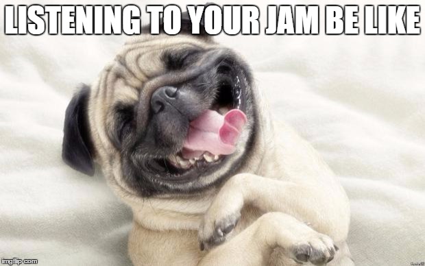PugLOL | LISTENING TO YOUR JAM BE LIKE | image tagged in puglol | made w/ Imgflip meme maker