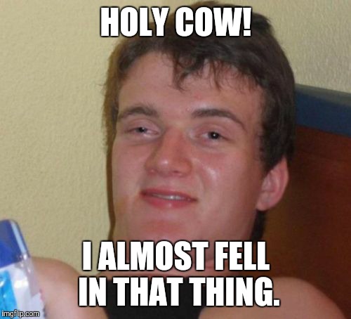 10 Guy Meme | HOLY COW! I ALMOST FELL IN THAT THING. | image tagged in memes,10 guy | made w/ Imgflip meme maker