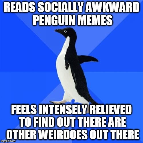 Socially Awkward Penguin | READS SOCIALLY AWKWARD PENGUIN MEMES; FEELS INTENSELY RELIEVED TO FIND OUT THERE ARE OTHER WEIRDOES OUT THERE | image tagged in memes,socially awkward penguin | made w/ Imgflip meme maker
