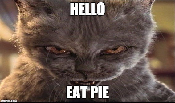 HELLO; EAT PIE | image tagged in cat | made w/ Imgflip meme maker