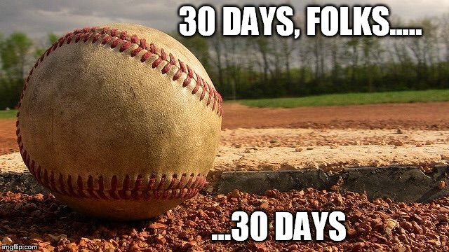 Baseball  | 30 DAYS, FOLKS..... ...30 DAYS | image tagged in baseball | made w/ Imgflip meme maker