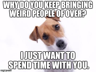 Confused Dog | WHY DO YOU KEEP BRINGING WEIRD PEOPLE OF OVER? I JUST WANT TO SPEND TIME WITH YOU. | image tagged in confused dog | made w/ Imgflip meme maker