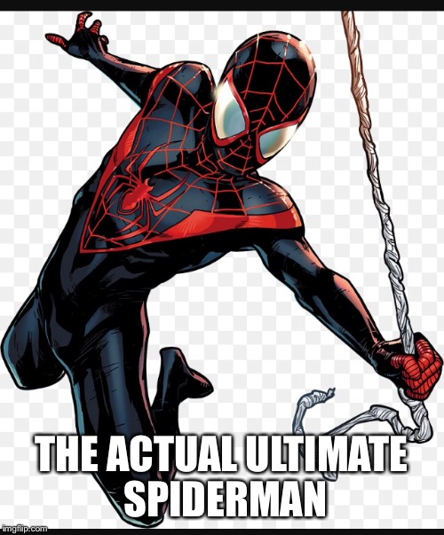 THE ACTUAL ULTIMATE SPIDERMAN | image tagged in memes | made w/ Imgflip meme maker