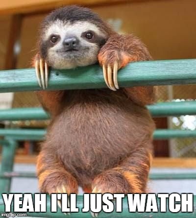 cute-sloth | YEAH I'LL JUST WATCH | image tagged in cute-sloth | made w/ Imgflip meme maker