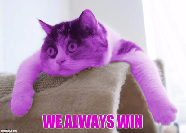 RayCat Stare | WE ALWAYS WIN | image tagged in raycat stare | made w/ Imgflip meme maker