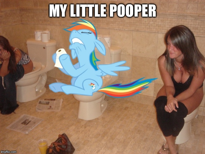 Every pony poops | MY LITTLE POOPER | image tagged in toilet humor,rainbow dash | made w/ Imgflip meme maker