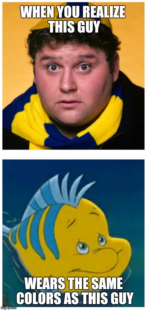 Flounder and Flounder | WHEN YOU REALIZE THIS GUY; WEARS THE SAME COLORS AS THIS GUY | image tagged in flounder,disney,funny memes,comics/cartoons | made w/ Imgflip meme maker