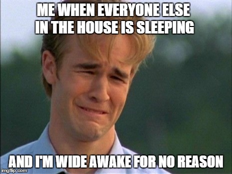 ME WHEN EVERYONE ELSE IN THE HOUSE IS SLEEPING; AND I'M WIDE AWAKE FOR NO REASON | image tagged in so tired | made w/ Imgflip meme maker